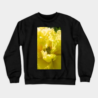 Yellow, yellow flower, flora, fauna, lime, bright yellow, bright Crewneck Sweatshirt